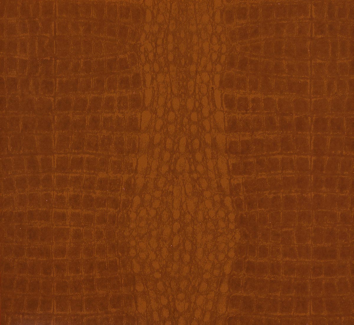 Alligator Joe Wallpaper