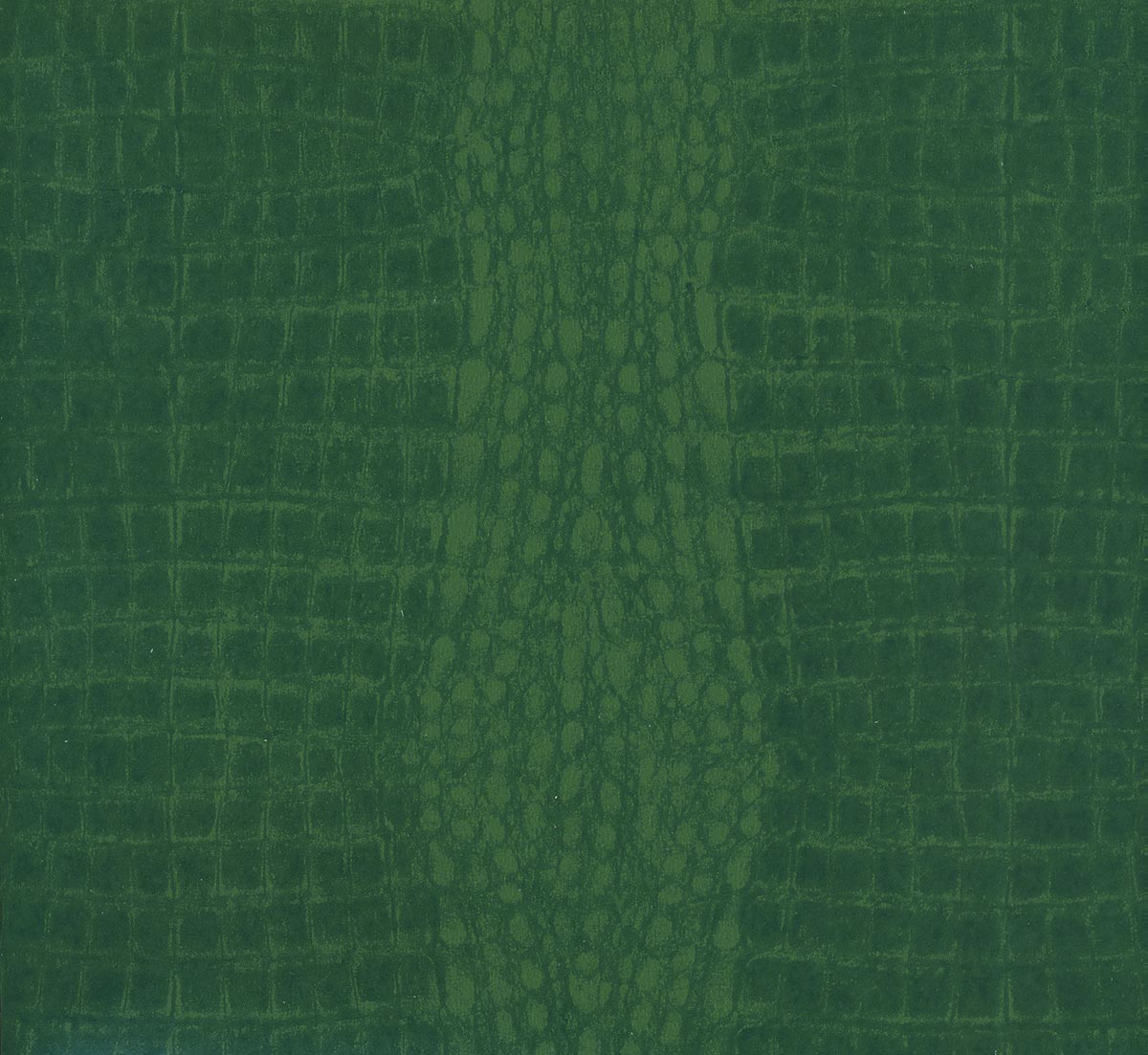 Alligator Joe Wallpaper