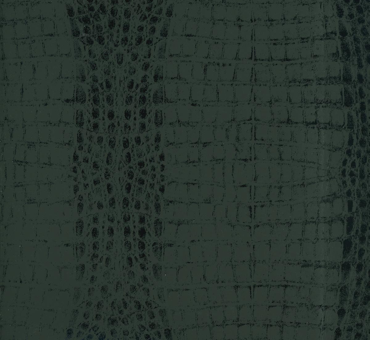 Alligator Joe Wallpaper