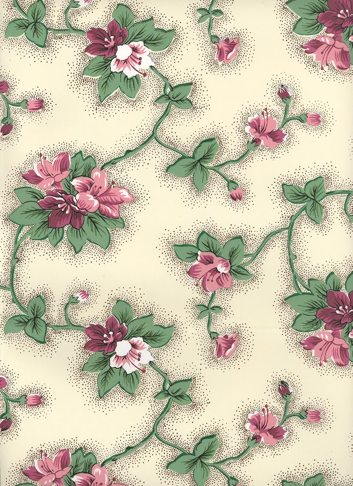 Clementine Wallpaper