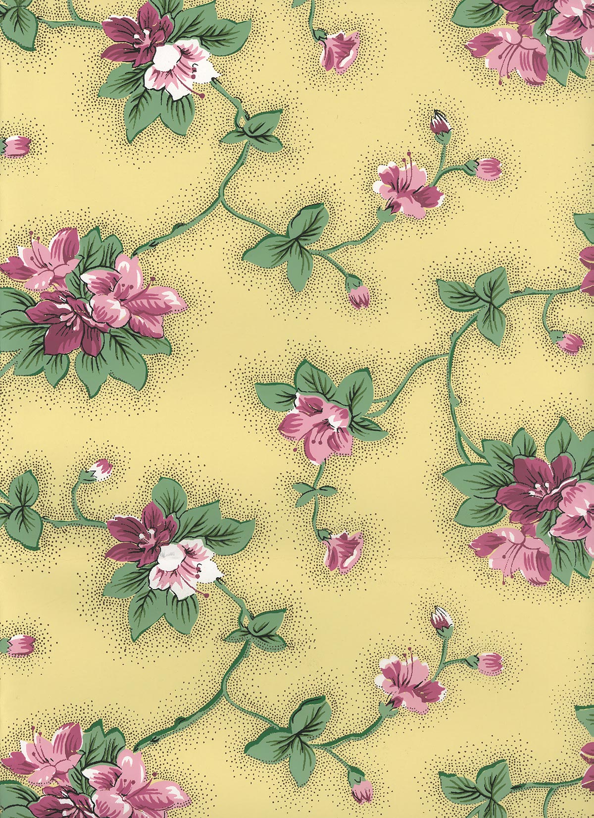 Clementine Wallpaper