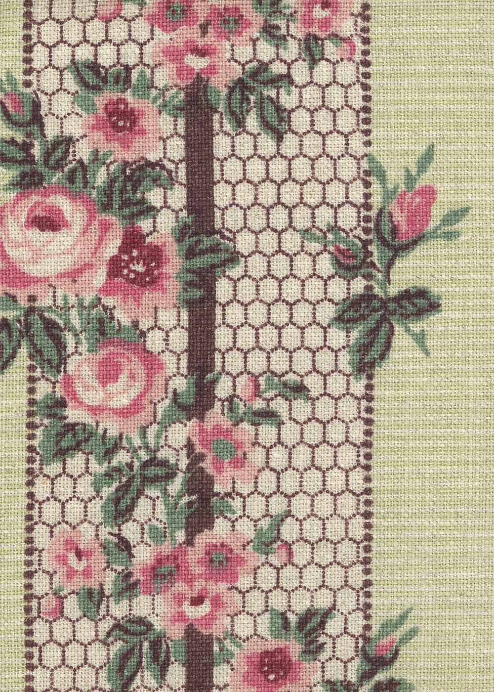 Rosalynda on Linen