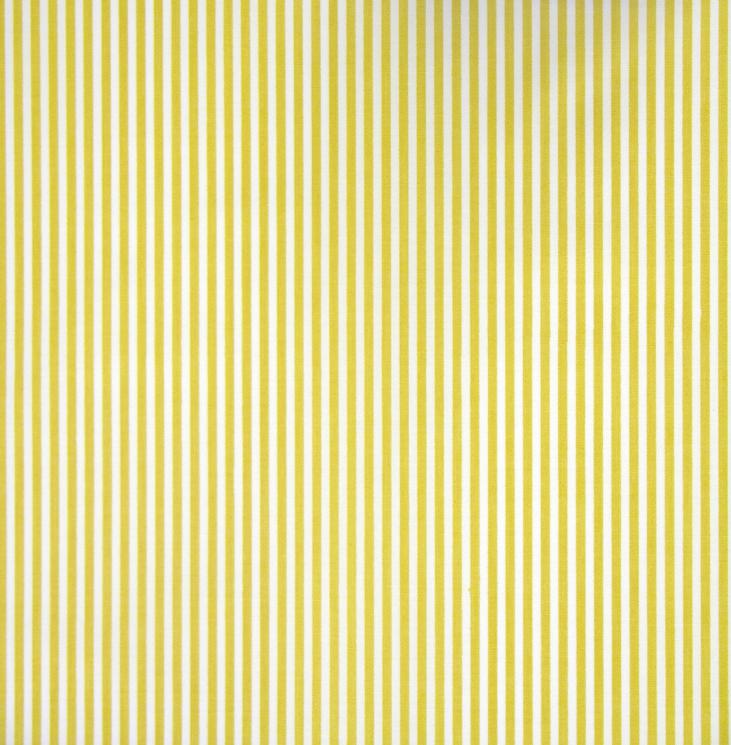 Stripes