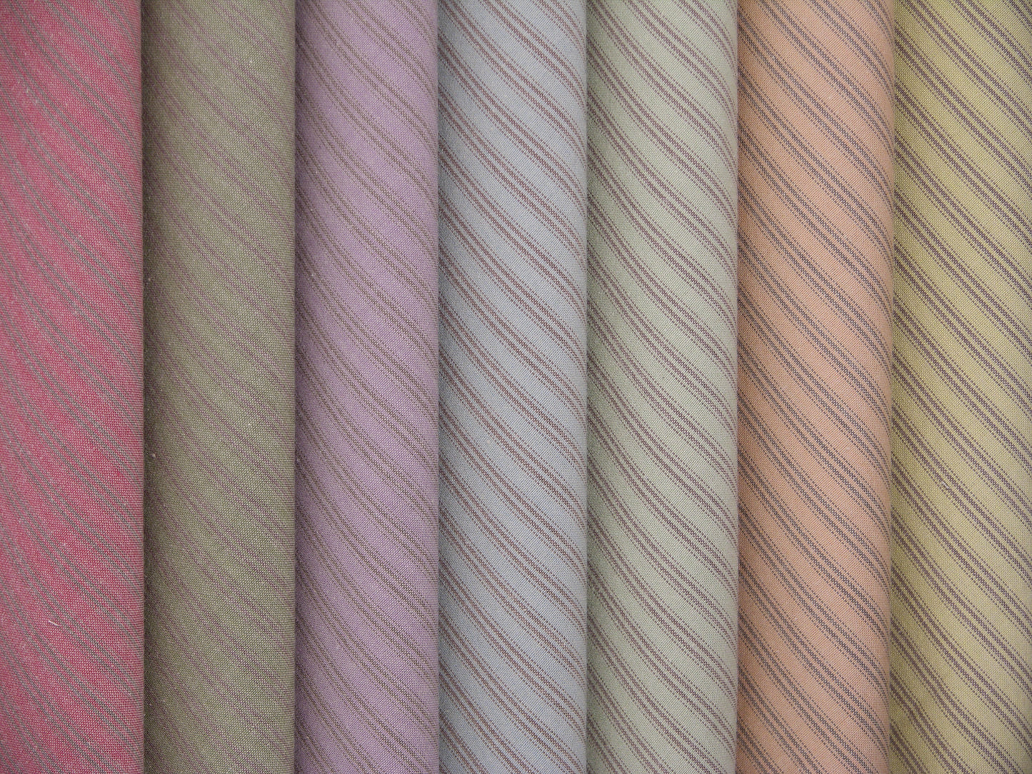 Sasparilla Ticking