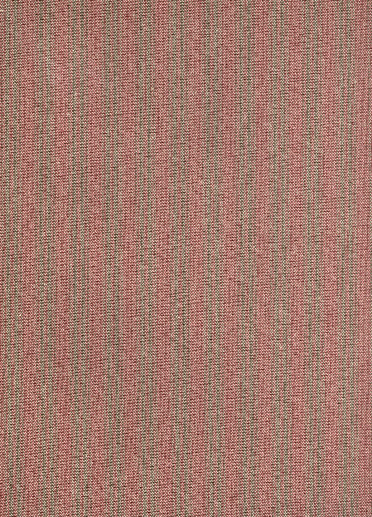 Sasparilla Ticking