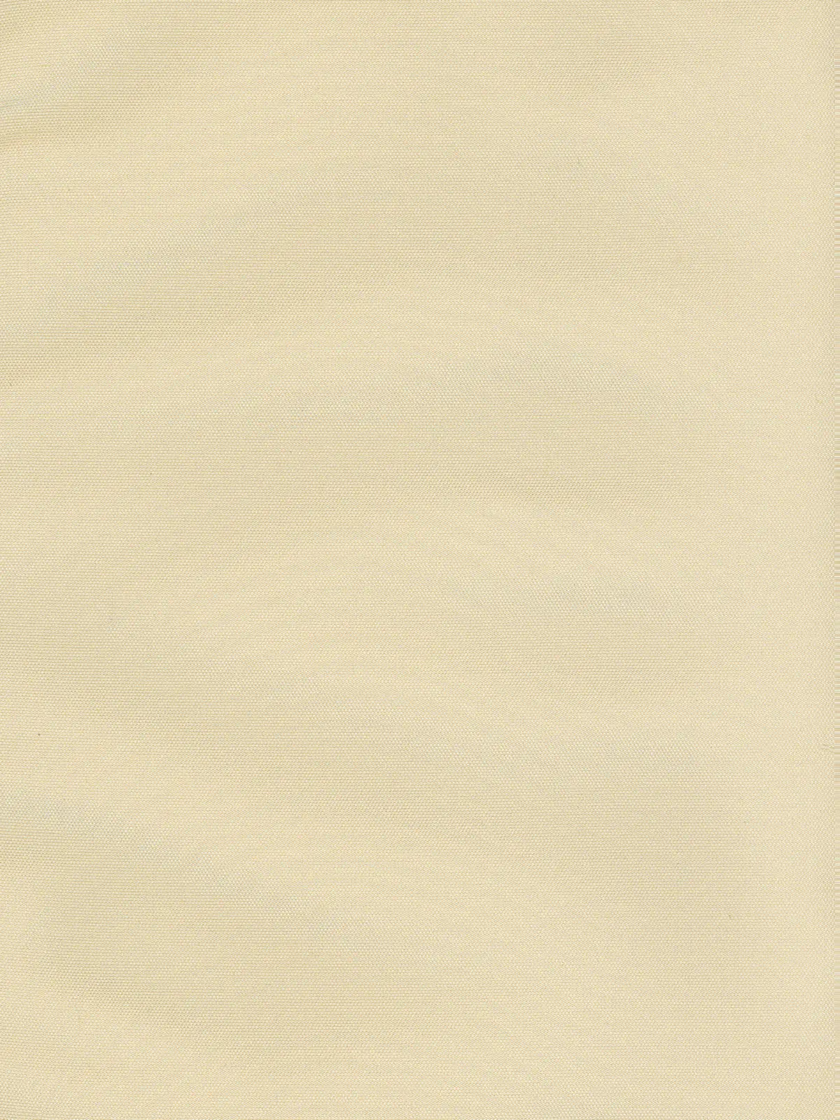 Silk Taffeta Plain