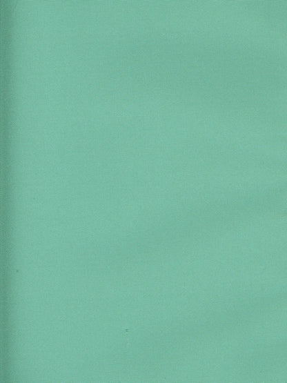 Silk Taffeta Plain