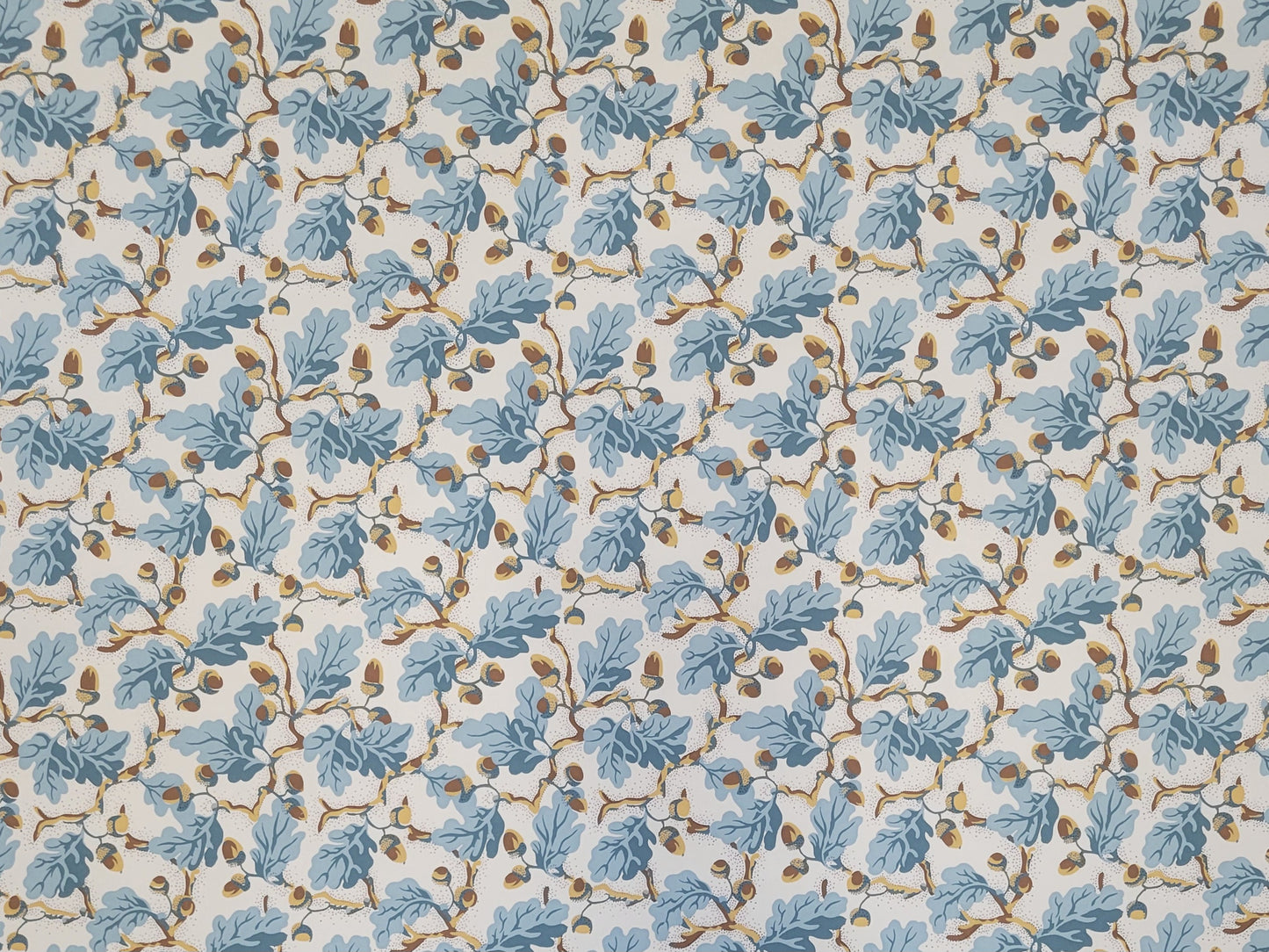 Acorn Wallpaper