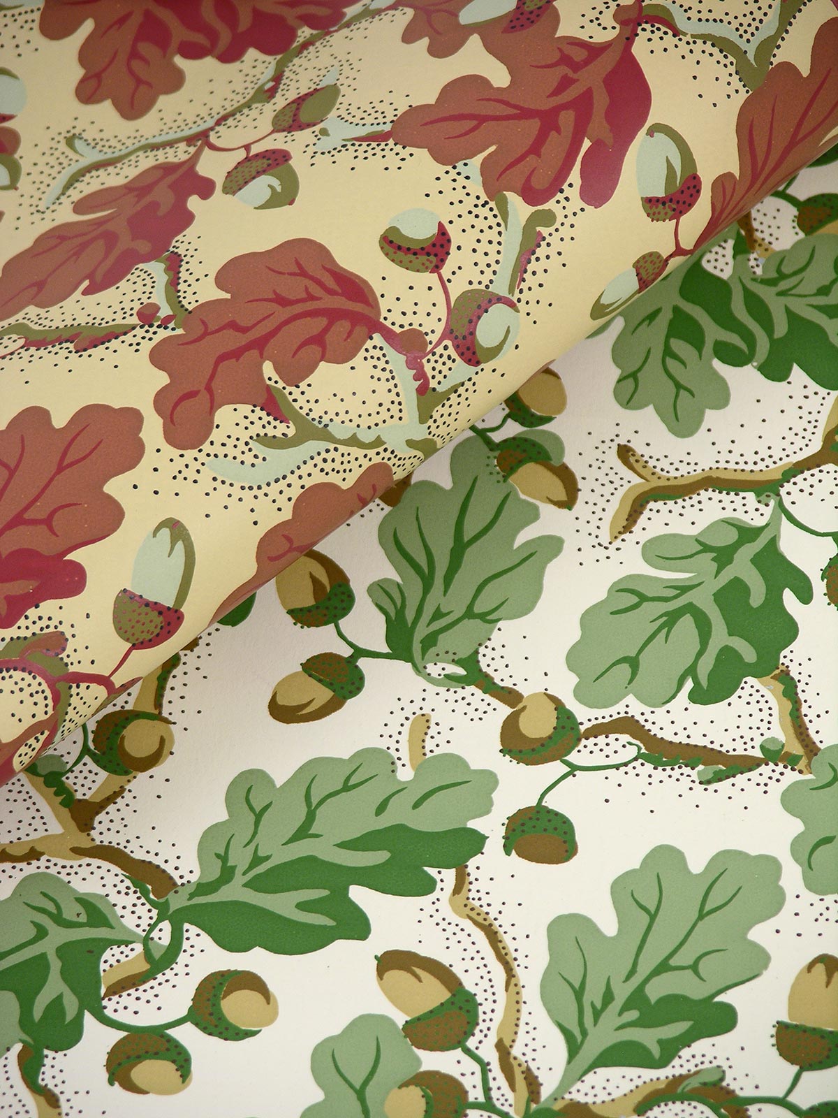Acorn Wallpaper