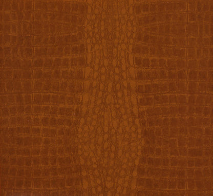 Alligator Joe Wallpaper