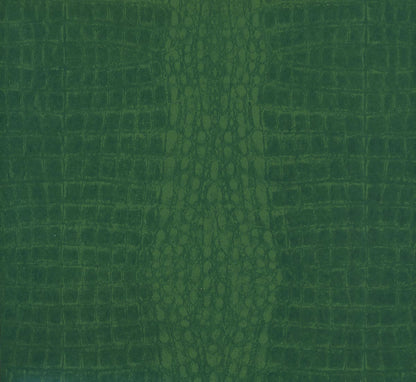Alligator Joe Wallpaper