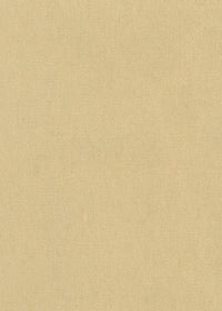 yellow cashmere velvet fabric for upholstery