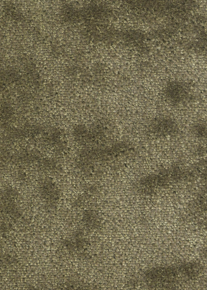 Sealskin Velvet