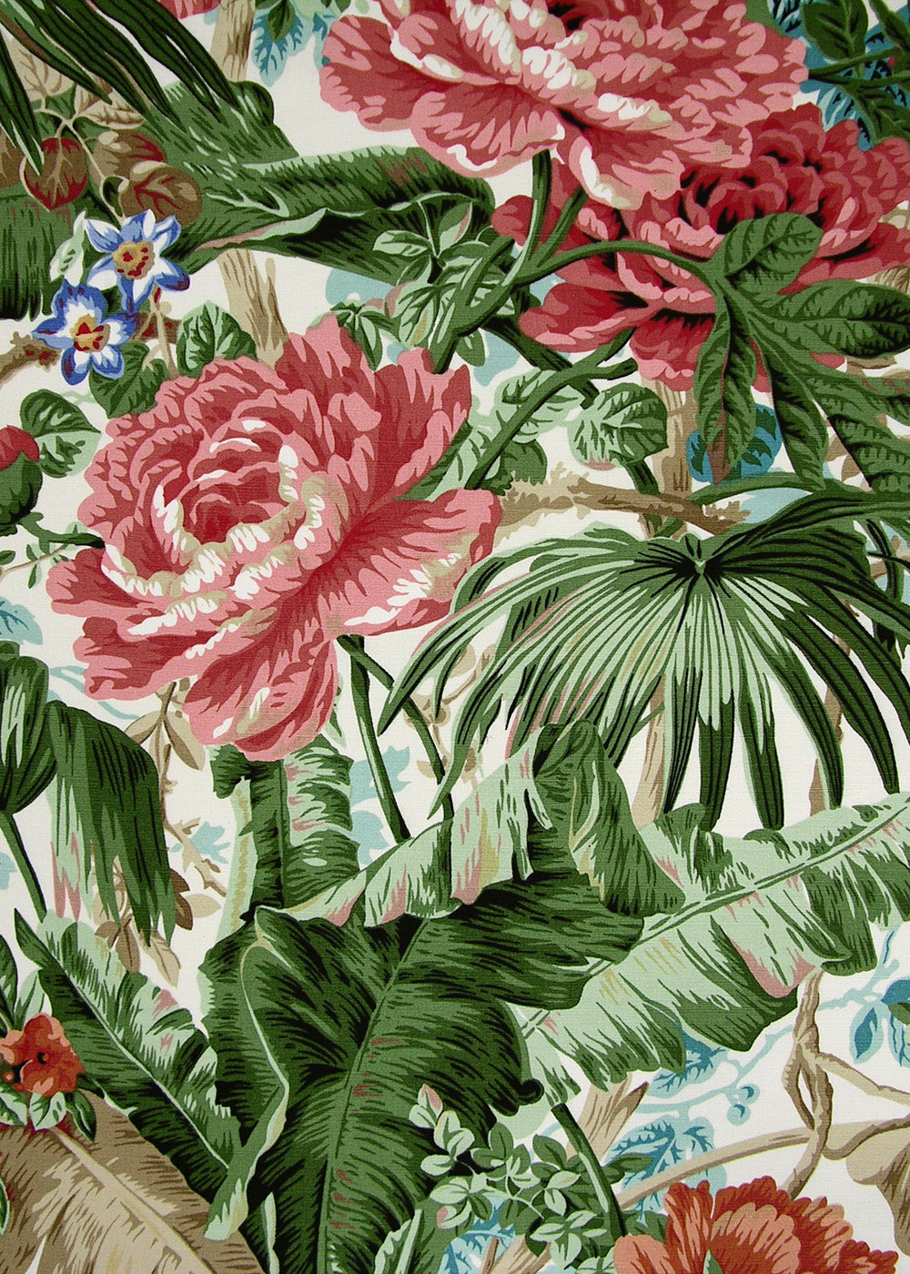 Bella Flora