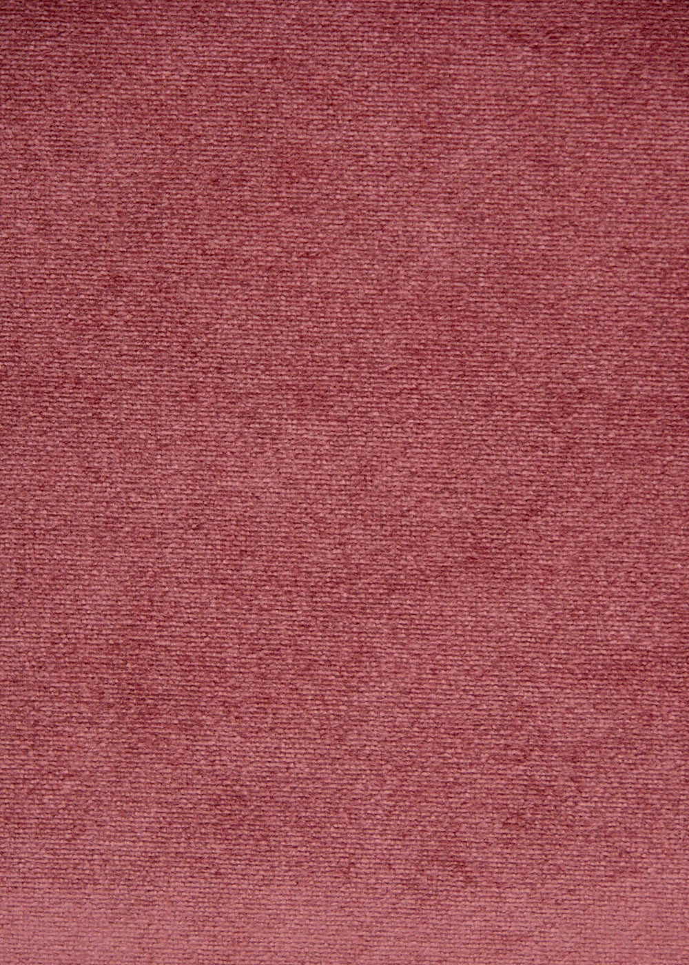 Sophia (5604)