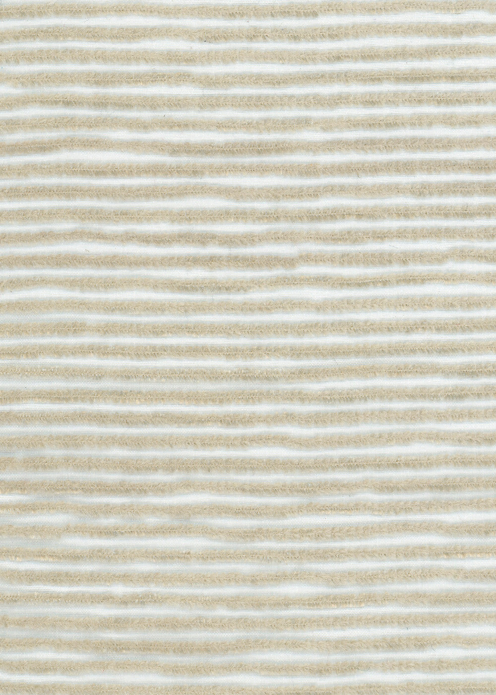 beige fabric with thin stripes of burnout sheer velvet