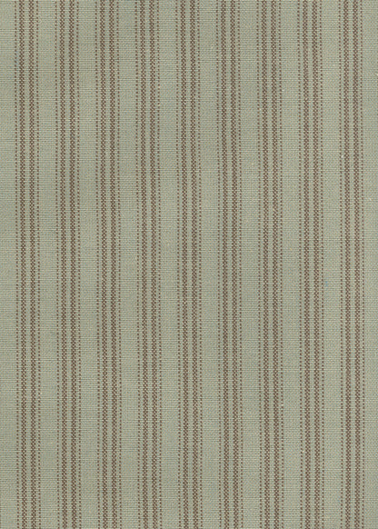 Sasparilla Ticking