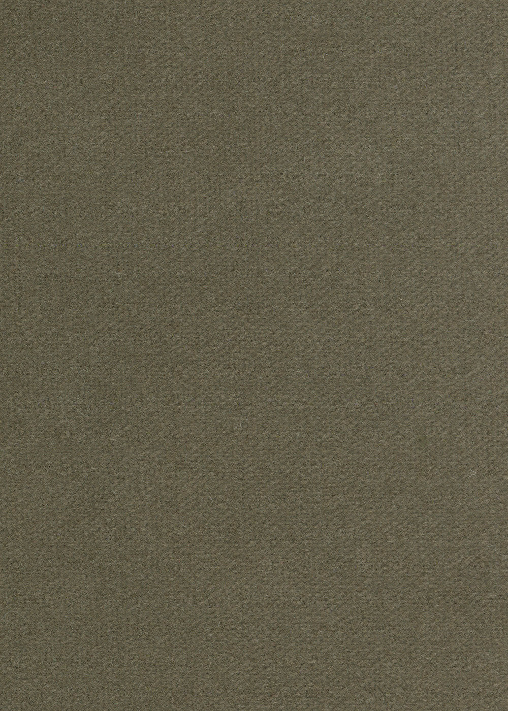 dark grey-green cashmere velvet fabric for upholstery