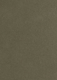 dark grey-green cashmere velvet fabric for upholstery
