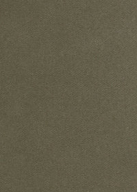 dark grey-green cashmere velvet fabric for upholstery