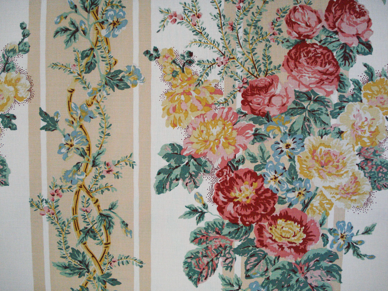 Hollyhock & Roses
