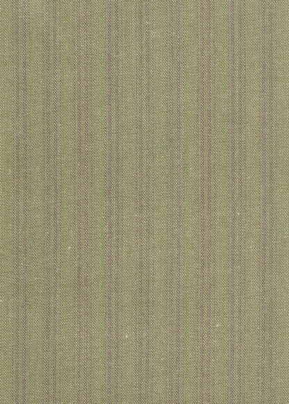 Sasparilla Ticking