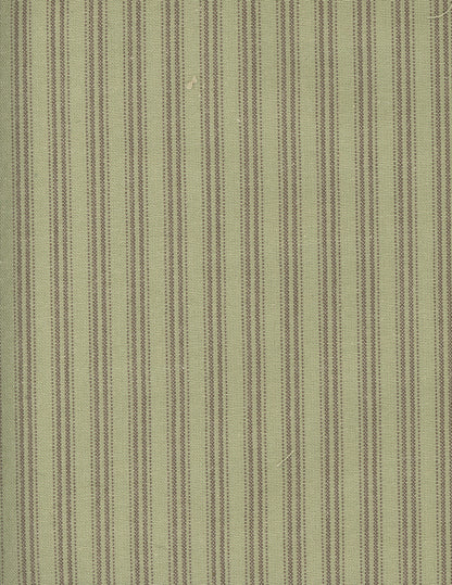 Sasparilla Ticking