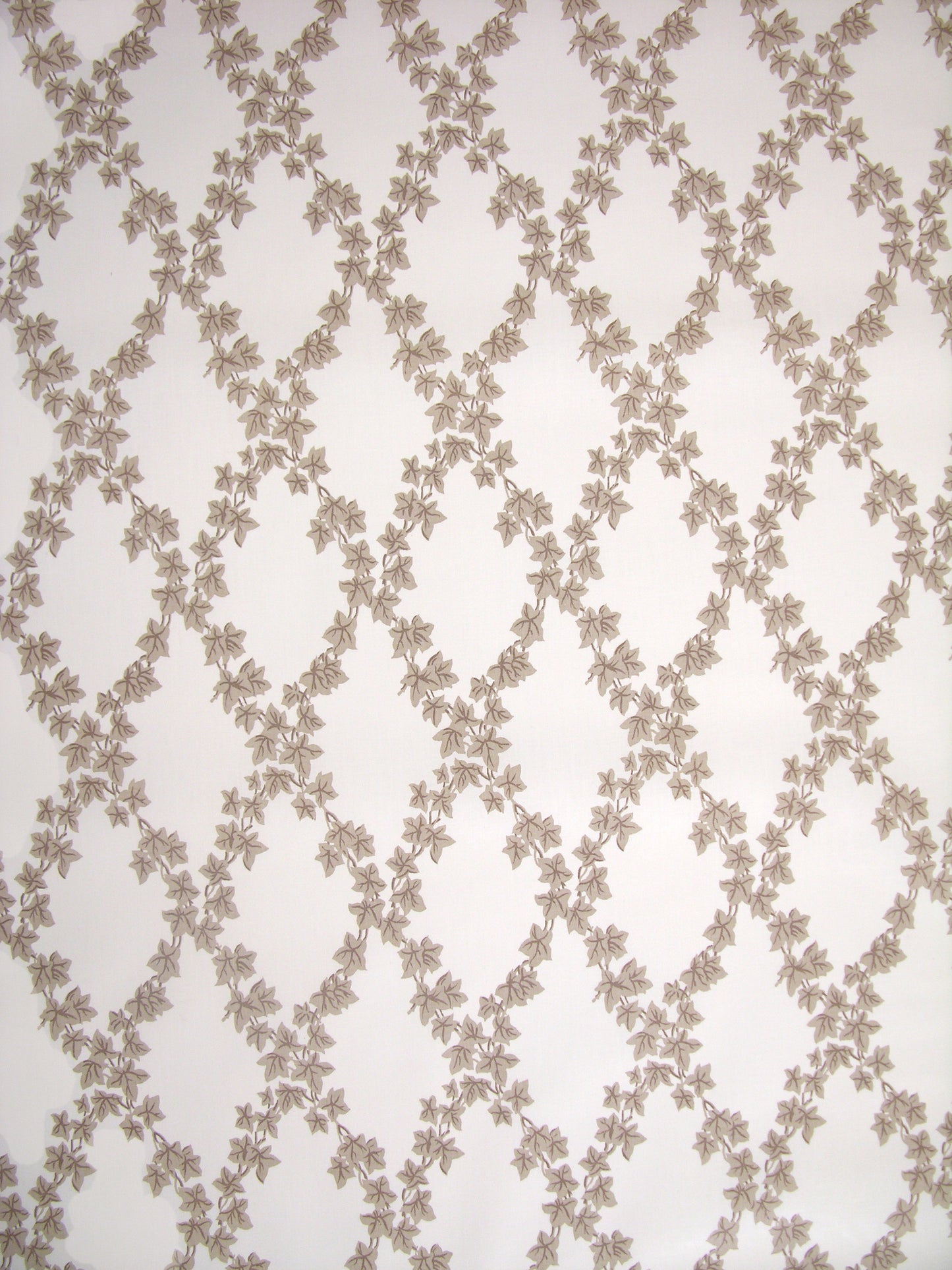 Ivy Trellis