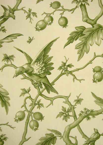 natural colored fabric printed with a green etching of a bird perched on a branch